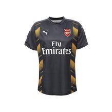 Puma  AFC Stadium Jersey