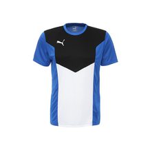 Puma   ftblTRG Shirt