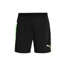 Puma   IT evoTRG Shorts