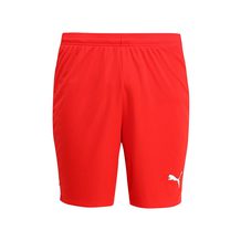 Puma   ftblTRG Shorts