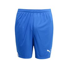 Puma   ftblTRG Shorts